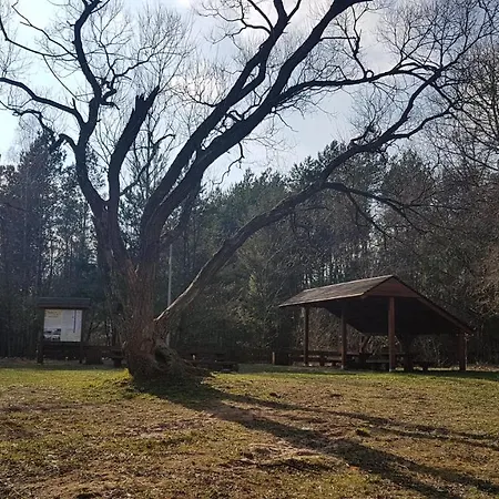 Apartament Swietoszow شقة