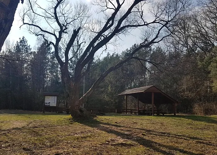 Apartament Swietoszow Appartamento